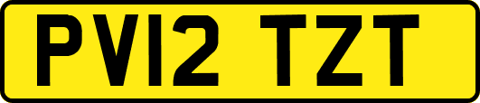 PV12TZT