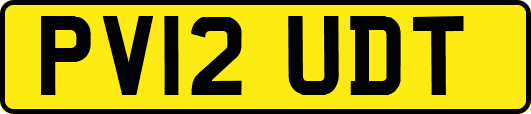 PV12UDT