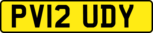 PV12UDY