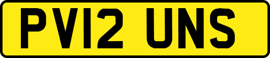 PV12UNS