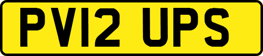 PV12UPS