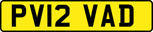 PV12VAD