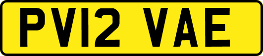 PV12VAE