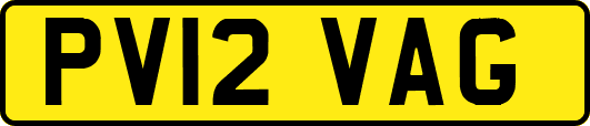 PV12VAG