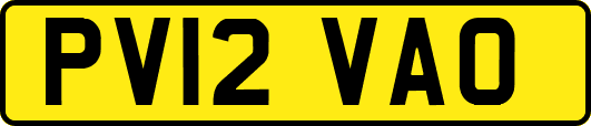 PV12VAO