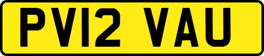 PV12VAU