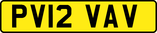 PV12VAV