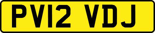 PV12VDJ