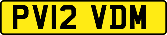 PV12VDM