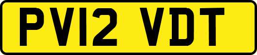 PV12VDT