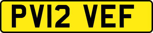 PV12VEF