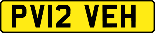PV12VEH