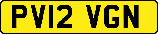 PV12VGN
