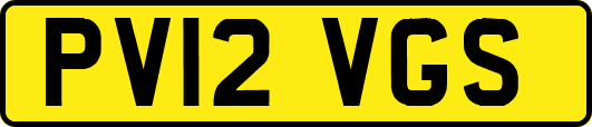 PV12VGS