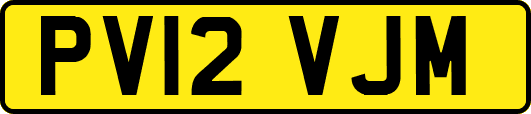 PV12VJM
