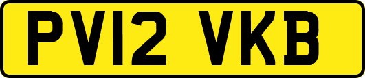 PV12VKB