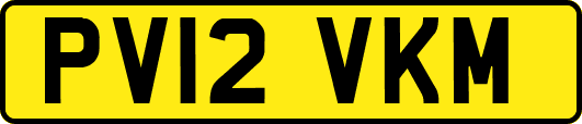PV12VKM