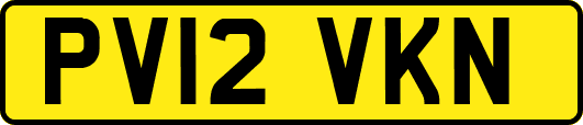 PV12VKN
