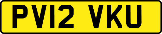 PV12VKU