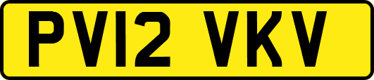 PV12VKV