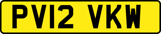 PV12VKW