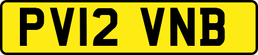 PV12VNB