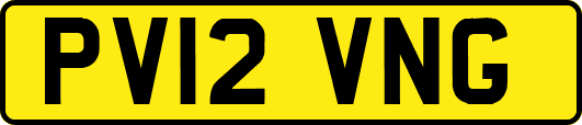 PV12VNG