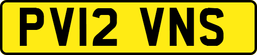 PV12VNS