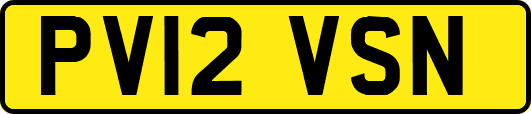 PV12VSN