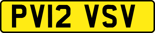 PV12VSV