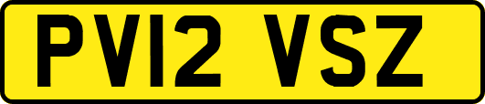 PV12VSZ