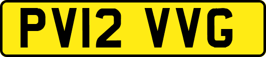 PV12VVG