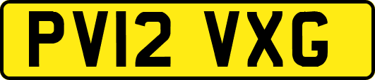 PV12VXG