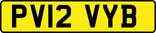 PV12VYB