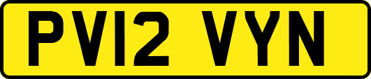 PV12VYN