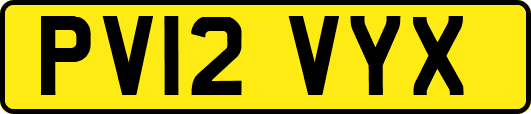 PV12VYX