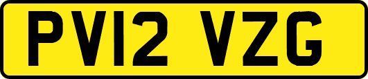 PV12VZG