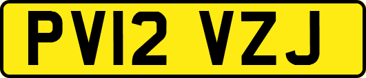 PV12VZJ