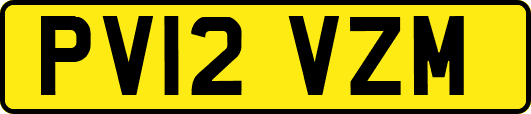PV12VZM