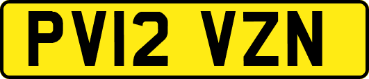 PV12VZN
