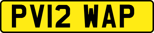 PV12WAP