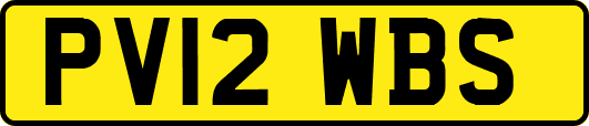 PV12WBS