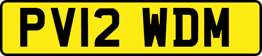 PV12WDM
