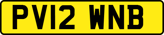 PV12WNB