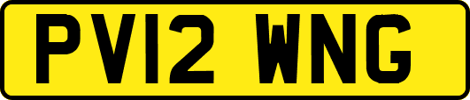 PV12WNG