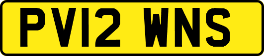 PV12WNS