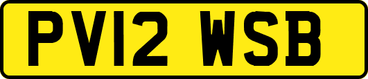 PV12WSB