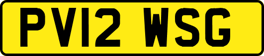 PV12WSG