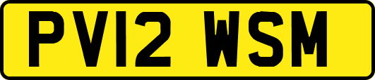 PV12WSM