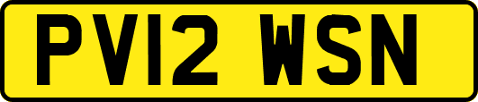 PV12WSN